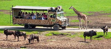 Familienurlaub nähe Serengeti-Park