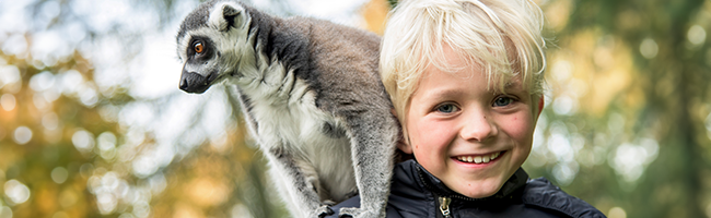 Serengeti-Park Hodenhagen