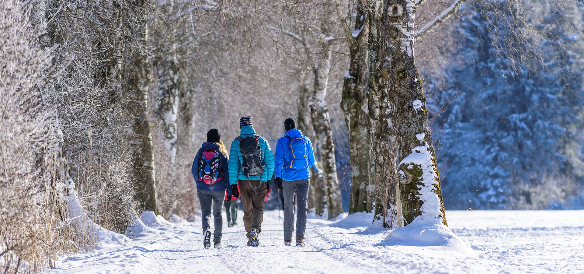 Winterwanderung
