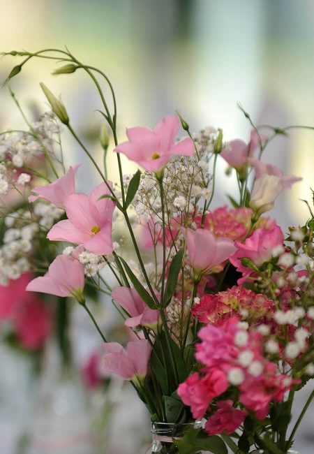 Hochzeiten in der Heideblüte